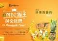 万众期待的马来西亚 MD2 猫王黄金凤梨现进军中国，亮相第19届东博会农业展！